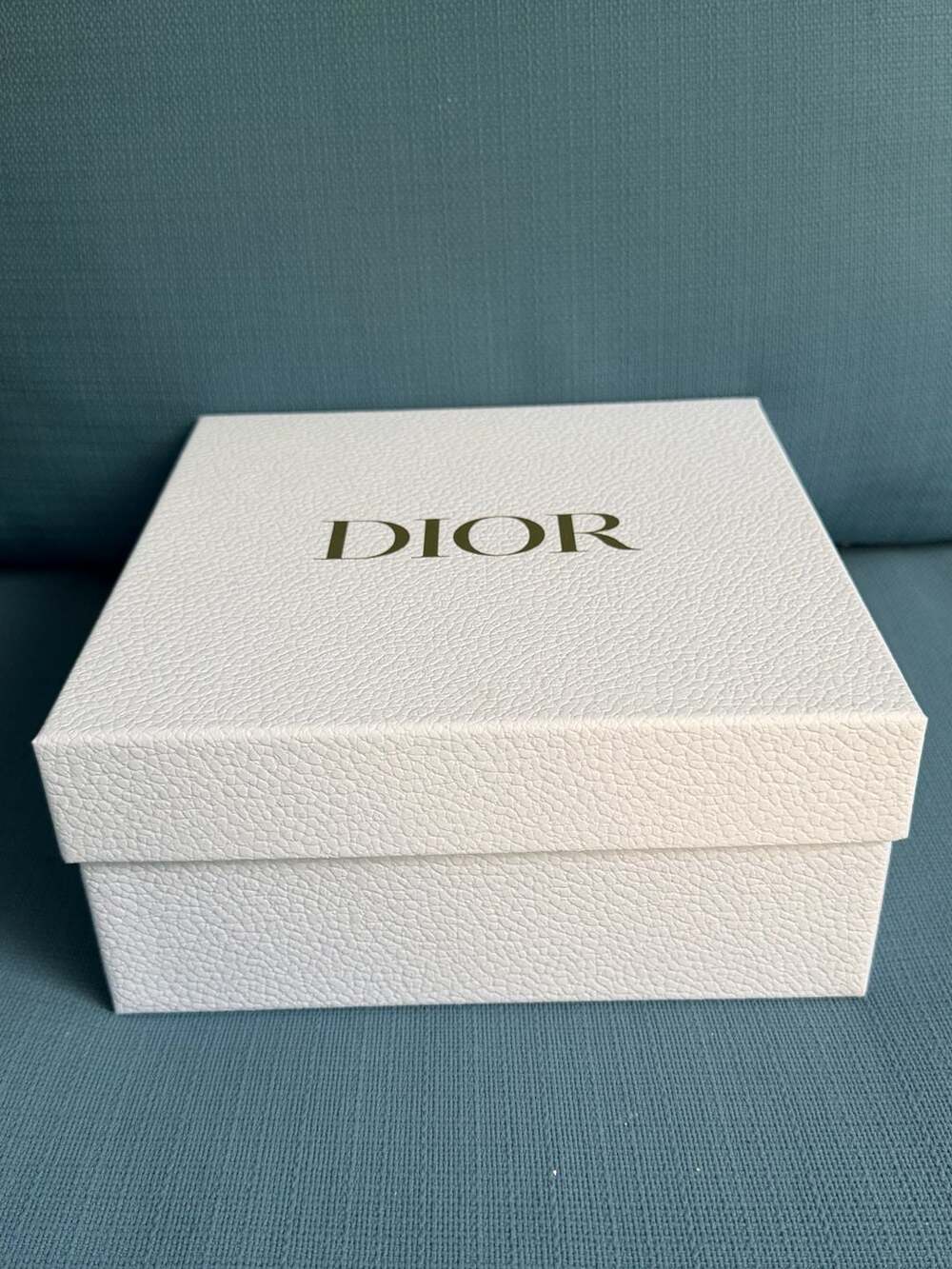 Dior Platinum Member Gift Set 2024 Jewelry Case with Box